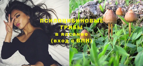 таблы Мегион