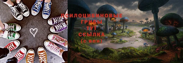 соль курить ск Михайловск